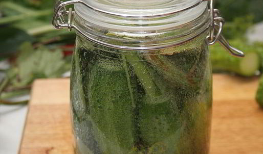 малосольные огурцы холодного засола