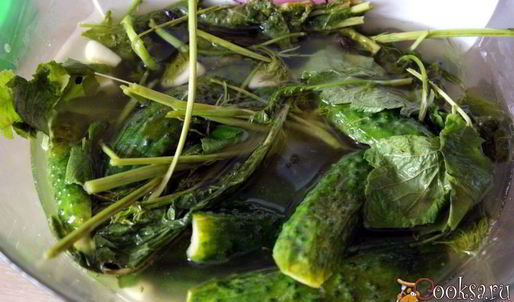 малосольные огурцы на минералке суточные