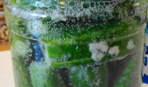 малосольные огурцы на минеральной воде