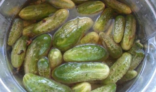 малосольные огурцы на зиму