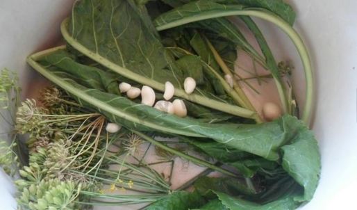 малосольные огурцы на зиму