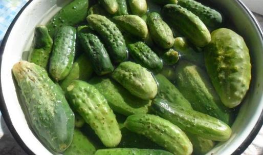 малосольные огурцы на зиму