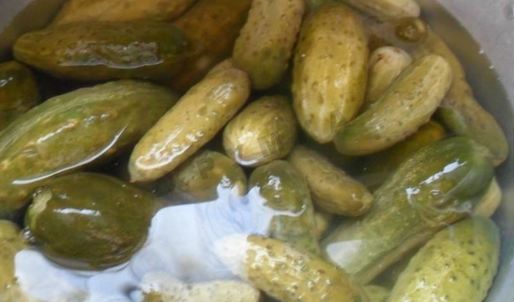 малосольные огурцы на зиму