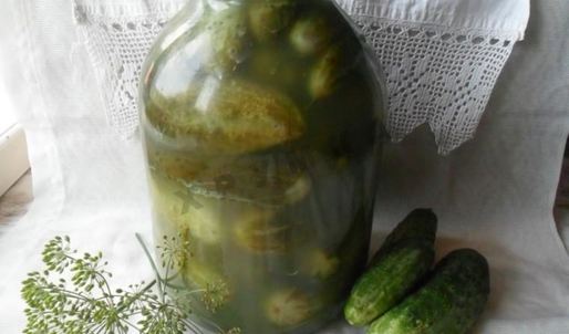 малосольные огурцы на зиму