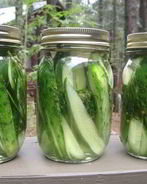 Малосольные огурцы с рассолом