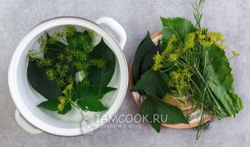 малосольные огурцы в кастрюле