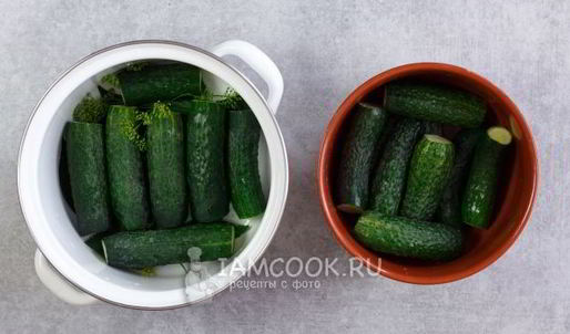 малосольные огурцы в кастрюле