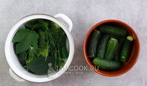 малосольные огурцы в кастрюле