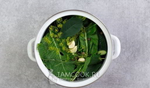 малосольные огурцы в кастрюле