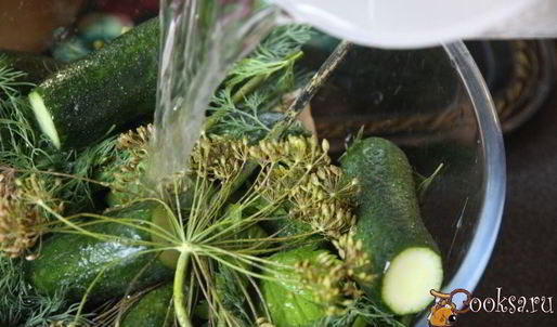 малосольные огурцы в минеральной воде на зиму
