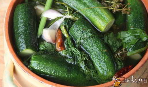 малосольные огурцы в минеральной воде на зиму