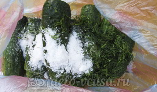 малосольные огурцы в пакете