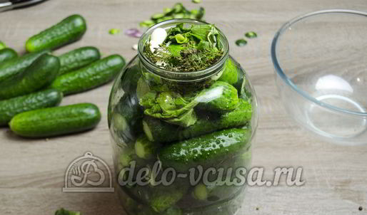 малосольные огурцы