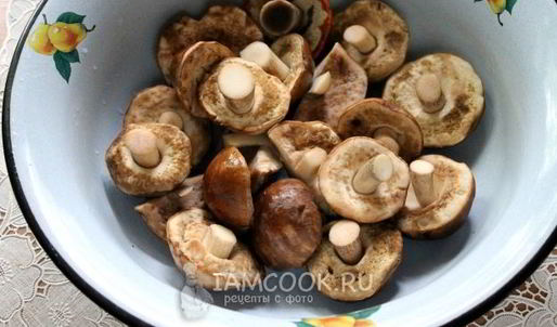 малосольные подберезовики