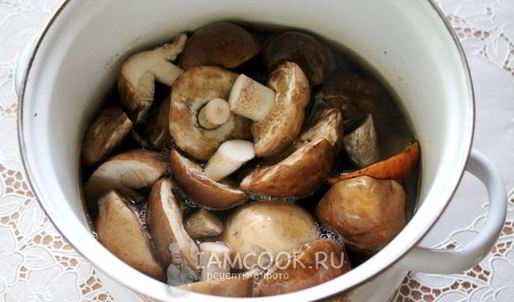 малосольные подберезовики