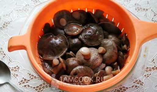 малосольные подберезовики