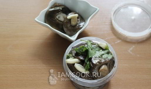 малосольные подберезовики