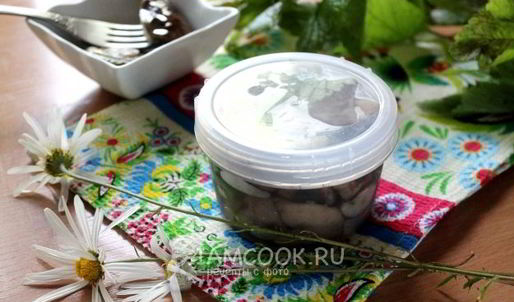 малосольные подберезовики