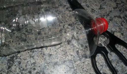 скумбрия домашнего посола