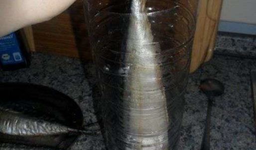 скумбрия домашнего посола