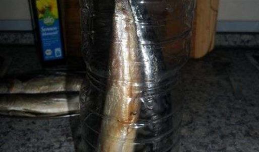 скумбрия домашнего посола