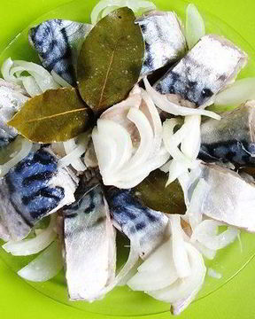 Соленая скумбрия в рассоле