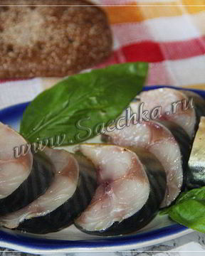 Соленая скумбрия