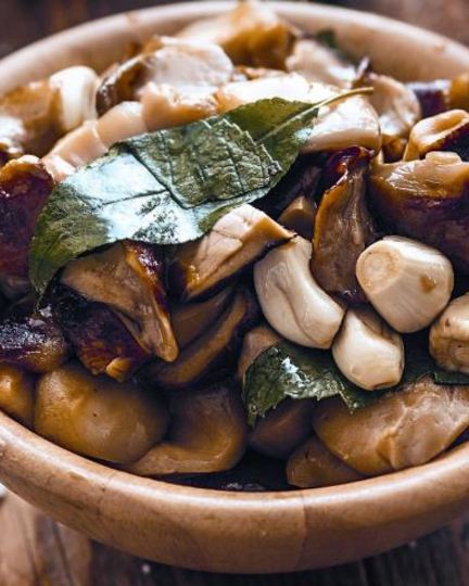 Рецепт соленых белых грибов