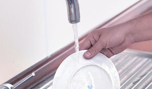 соленые белые грибы