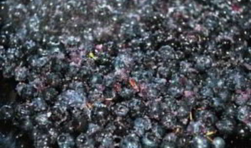 варенье из черники в хлебопечке