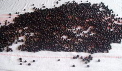 варенье из смородины при простуде