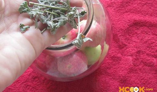 яблоки на зиму