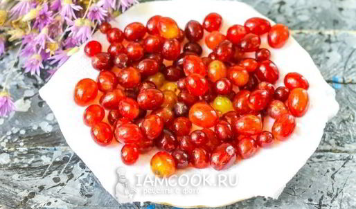 заморозка винограда на зиму