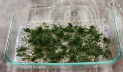 бутерброды с форелью