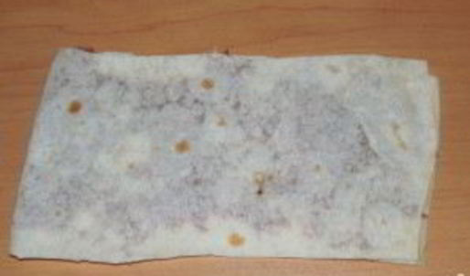 ленивые чебуреки из лаваша