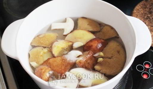 грибная икра из маслят