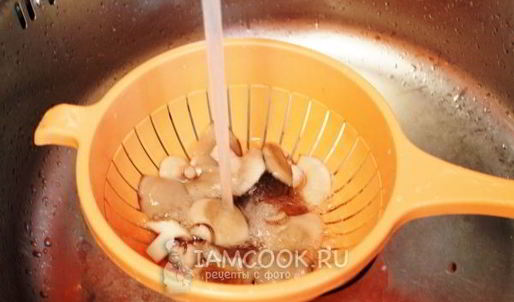 грибная икра из маслят