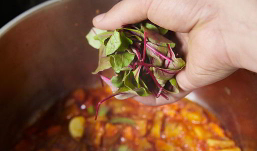 икра из кабачков и баклажана