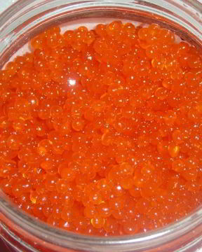 Икра из водорослей