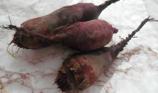 кабачковая икра со свеклой