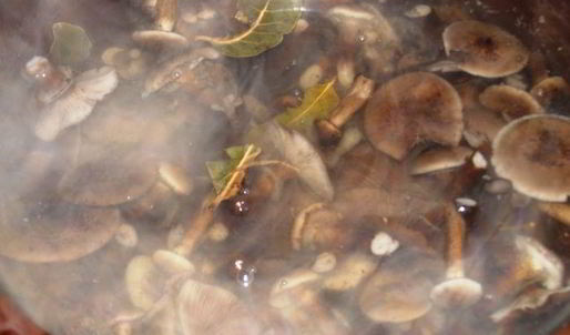 консервированная грибная икра