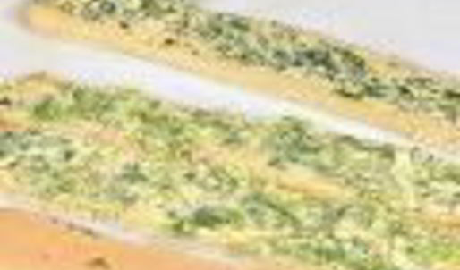 канапе ассорти