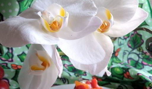 канапе из баклажанов