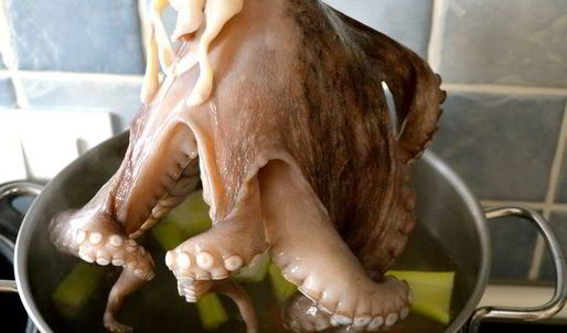 карпаччо из осьминога