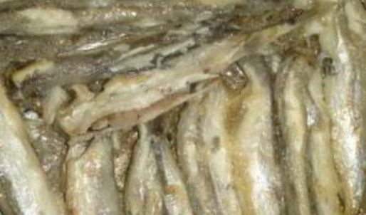 омлет рыбный