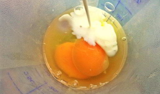 омлет с гречневым цветком