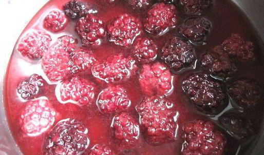 паштет из куриной печени в ежевичном желе