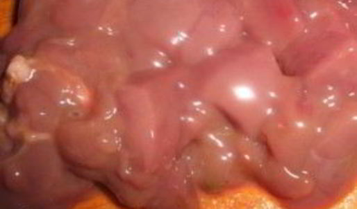 паштет из утки с апельсинами