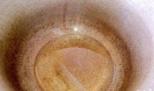 вкусный паштет из куриной печени