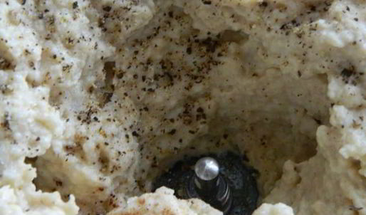 яичный паштет